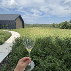 Blanc de Blanc (the wine)