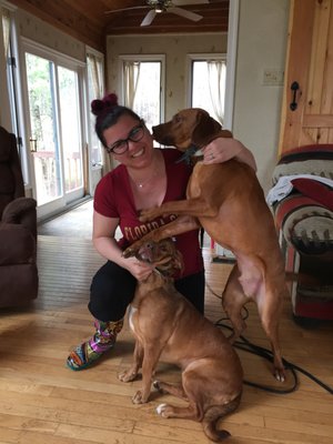 chris carr dog trainer