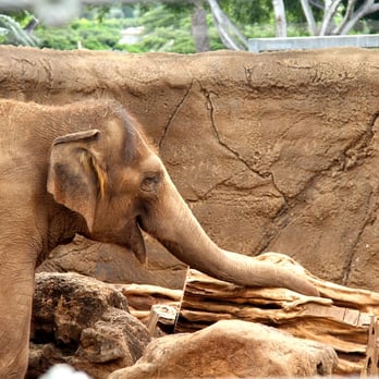 Honolulu Zoo - Zoos Near Me - Honolulu, Hawaii