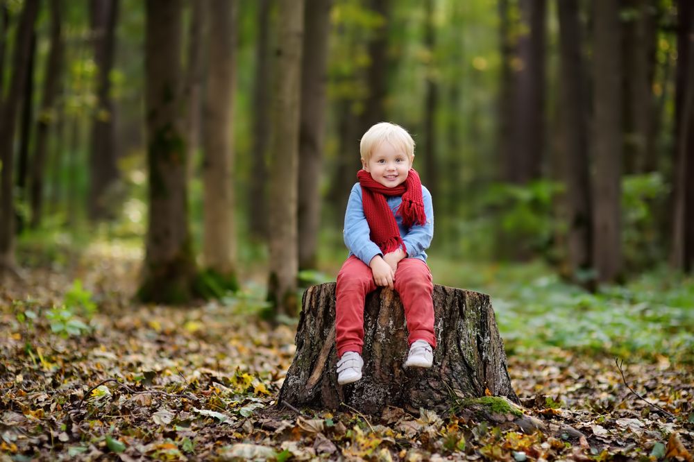Lil' Bloomers Speech Therapy Clinic - child therapist in Beverly Hills, CA
