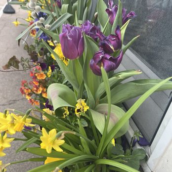 Jitters Cafe - Pretty Spring Flowers Outside - Coffee & Tea Near Me - North Kingstown, Rhode Island