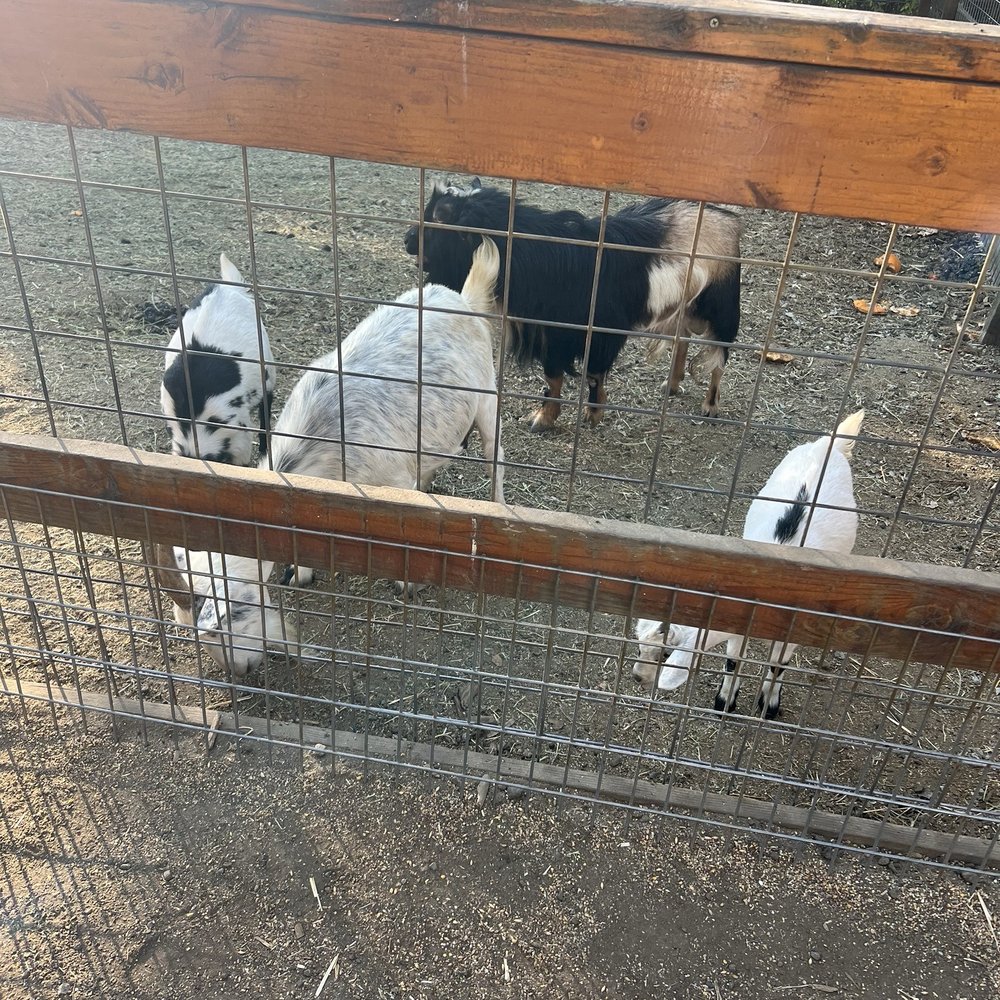 Greenspot Farm - Farmers Market Near Me - Mentone, California