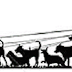 Dog Walkies of Sugar Land
