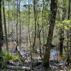 Jacintaport Land Management Area