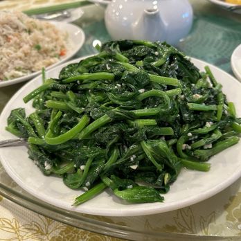 Fortune City Seafood Restaurant - Snow pea tips - Dim Sum Near Me - Vancouver, British Columbia Fortune City Seafood Restaurant - Snow pea tips - Dim Sum Near Me - Vancouver, British Columbia