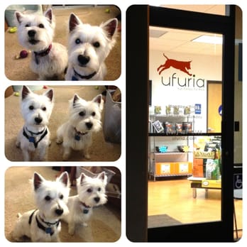 Ufuria - Great Grooming! - Pet Training Near Me - Rancho Cucamonga, California