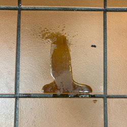 Wild Bill's Cafe - Grease stain.