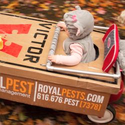 Royal Pest Management