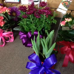 Olivia Floral & Garden Center