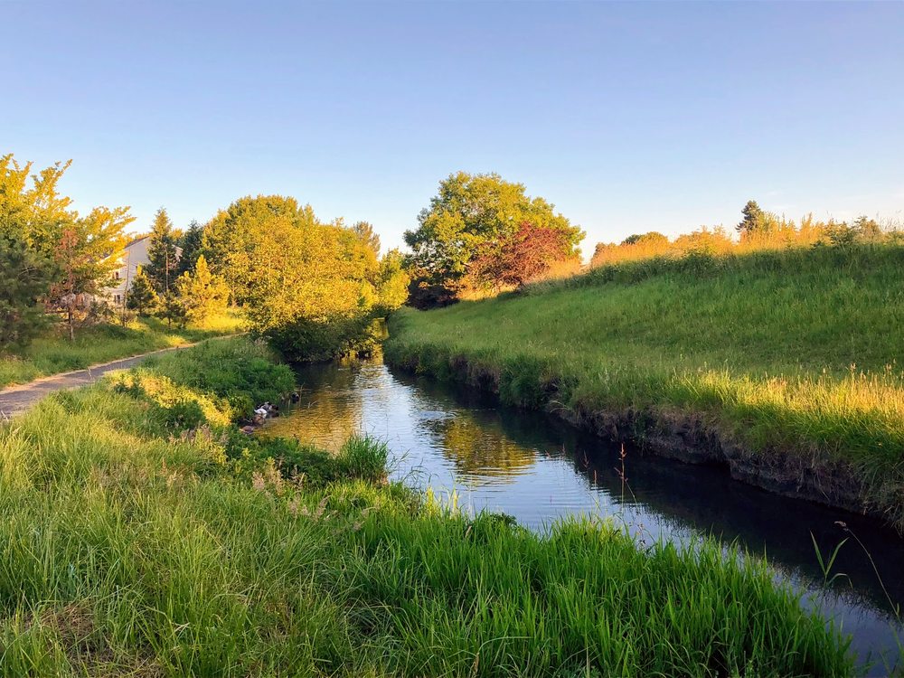 Albany Oregon Apartments Craigslist at David Jerome blog