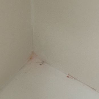 Hampton Inn & Suites Springfield-Southwest - Bacteria growing in bathtub. - Hotels Near Me - Springfield, Illinois Hampton Inn & Suites Springfield-Southwest - Bacteria growing in bathtub. - Hotels Near Me - Springfield, Illinois