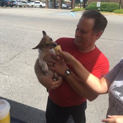JumpStart Coffee - We love our furry customers!