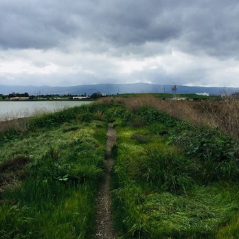 Sunnyvale Bay Trail - Parks Near Me - Sunnyvale, California Sunnyvale Bay Trail - Parks Near Me - Sunnyvale, California