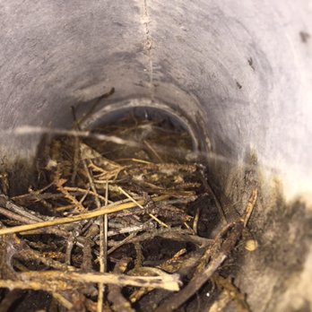 Breathable - Birds nest in dryer vent! - Heating & Air Conditioning/HVAC Near Me