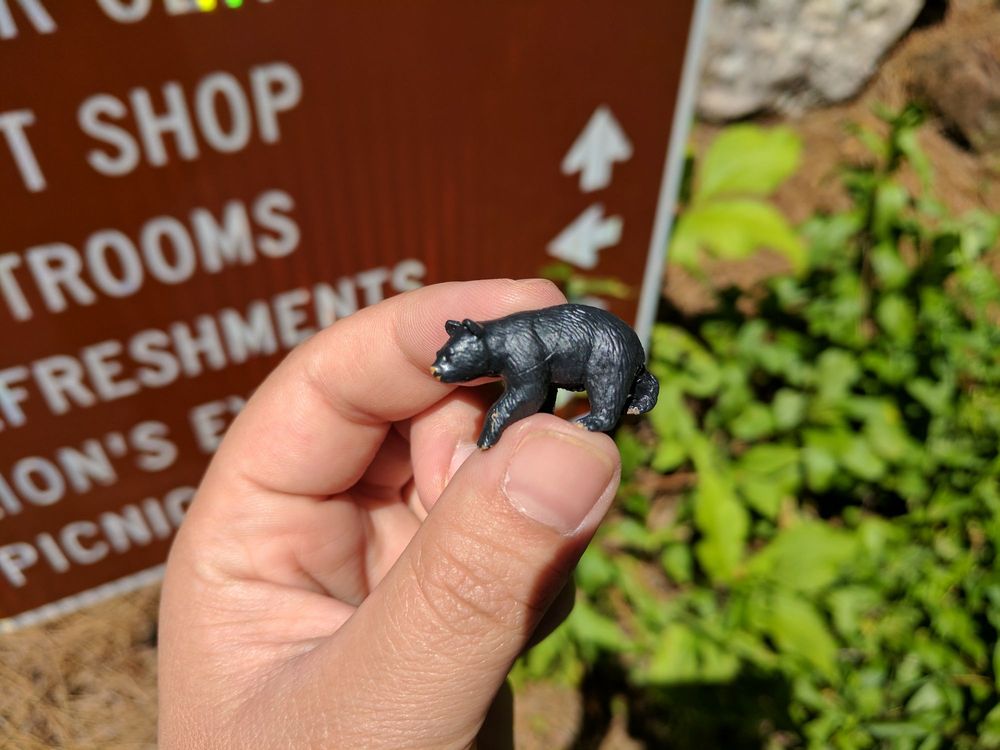 ANNA RUBY FALLS GIFT SHOP Updated June 2024 12 Photos & 14 Reviews