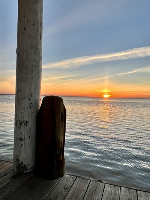 Louie's Backyard by null