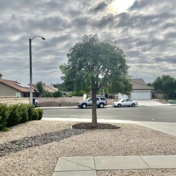 J and m landscape - After! - Tree Services Near Me J and m landscape - After! - Tree Services Near Me