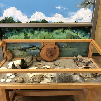 Lake waco wetlands - One of the displays. Has some hands on items. - Lakes Near Me - Crawford, Texas Lake waco wetlands - One of the displays. Has some hands on items. - Lakes Near Me - Crawford, Texas