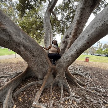 Balboa Park - Museums Near Me - San Diego, California Balboa Park - Museums Near Me - San Diego, California