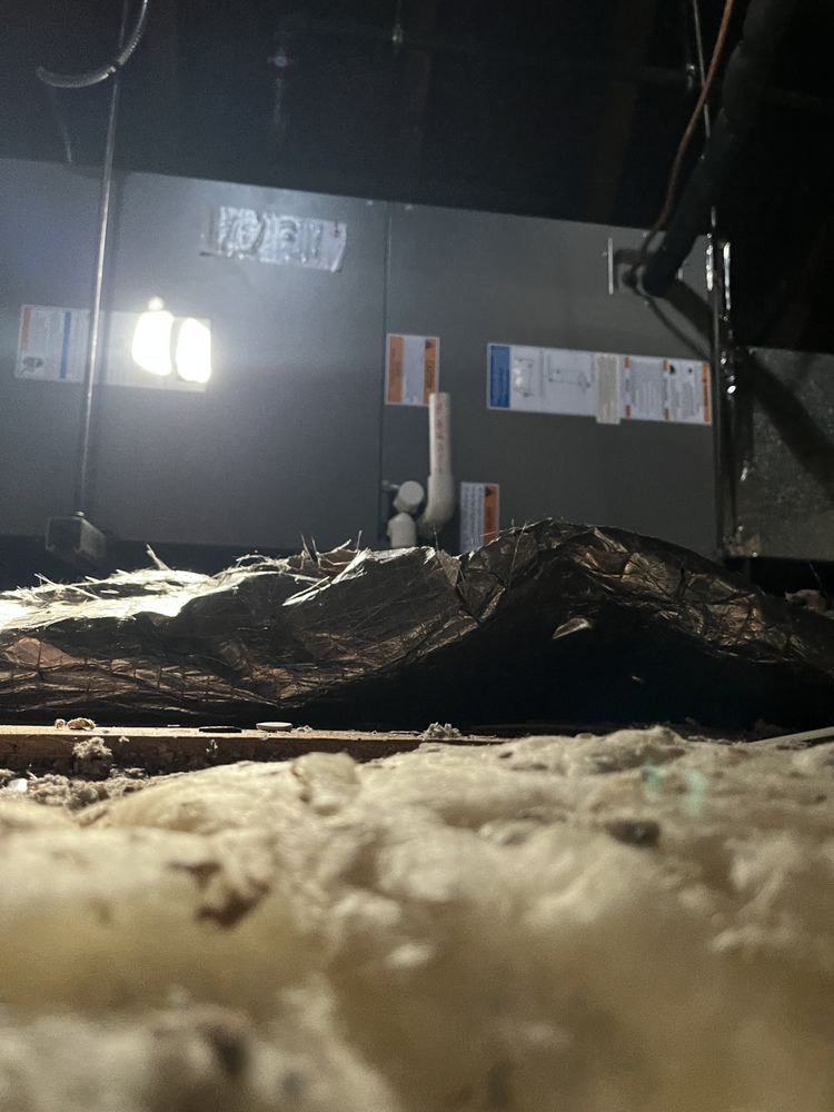 Slide of Boston Standard Company