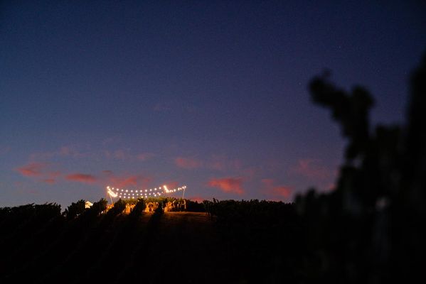 Joseph Jewell Wines by null