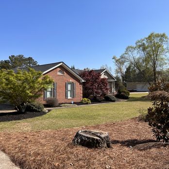 Maintain Southern Landscapes - a brick house with a tree stump in the front yard - Landscaping Near Me Maintain Southern Landscapes - a brick house with a tree stump in the front yard - Landscaping Near Me