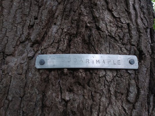 Tenhave Woods Nature Trail