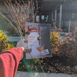 Root 31 - The cutest plant store in Westfield!!!
