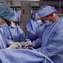 Western Vascular Institute - Vascular Surgeons of Western Vascular Institute