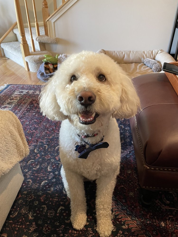 MR NIGEL’S Updated August 2024 24 Photos & 16 Reviews 9405 Montgomery Rd, Cincinnati, Ohio