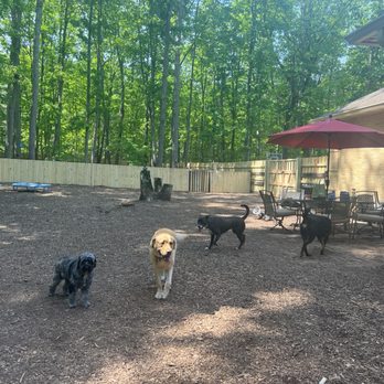 Happy Paws K-9 - Pet Boarding Near Me - Leesburg, Virginia Happy Paws K-9 - Pet Boarding Near Me - Leesburg, Virginia