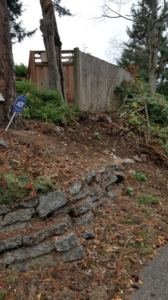 Apical Tree Services - tree service in Seattle, WA