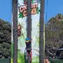 Coconut Climb