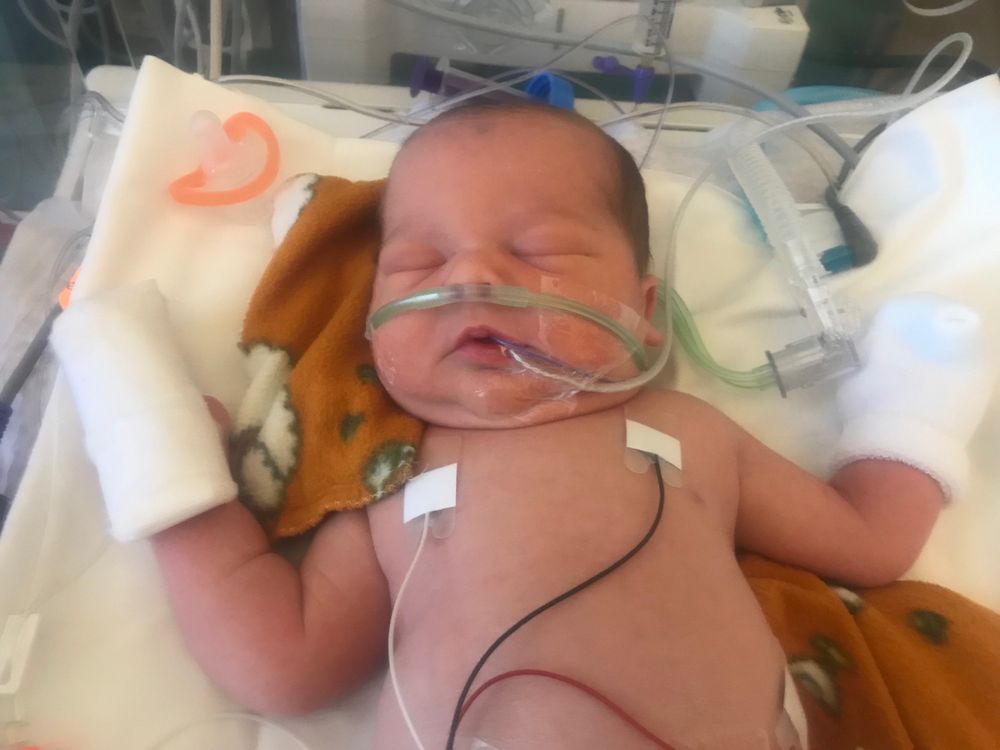 LEXINGTON WOMEN’S CARE Updated October 2024 10 Reviews 2728