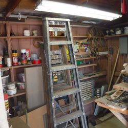 Grunt-Work - Shed Cleanout Before