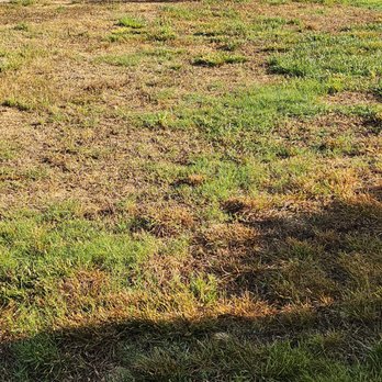 TruGreen Lawn Care - Tree Services Near Me - Acworth, Georgia