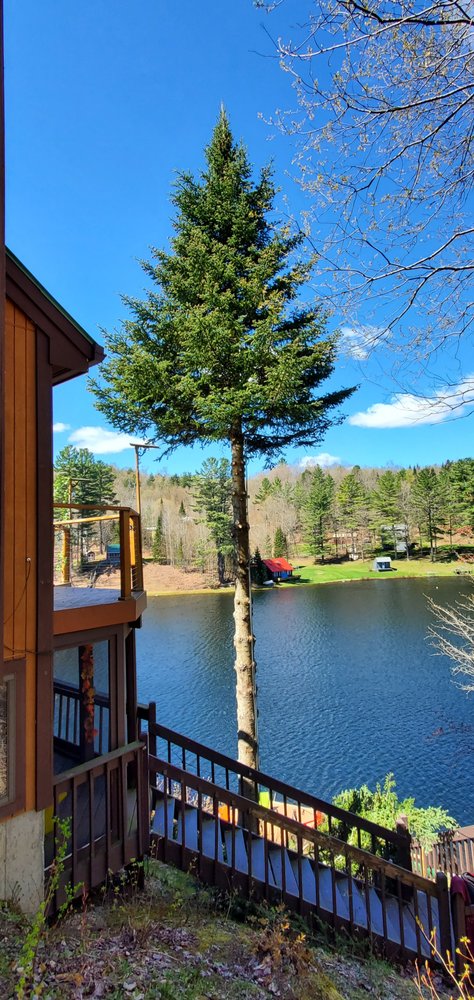 Tree Frog Climbing & Removal - tree service in Eden, VT