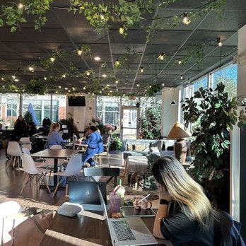 Cozy District Cafe - New American Near Me - Fairfax, Virginia Cozy District Cafe - New American Near Me - Fairfax, Virginia