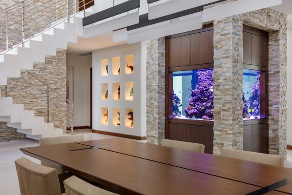 Jellyfish Art by null