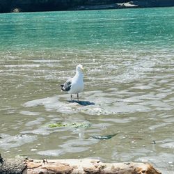 Big River State Park