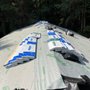 Photo of All Ply Roofing