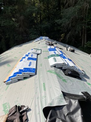 All Ply Roofing on Yelp