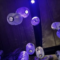 Paperfish Sushi - Outdoor ambiance