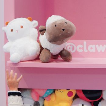 Claw Land - Cute Plushies - Arcades Near Me - Mississauga, Ontario