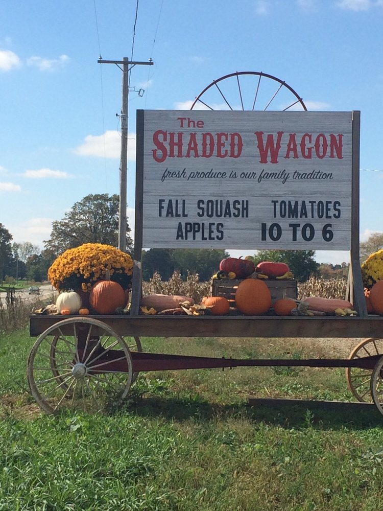 Food from The Shaded Wagon