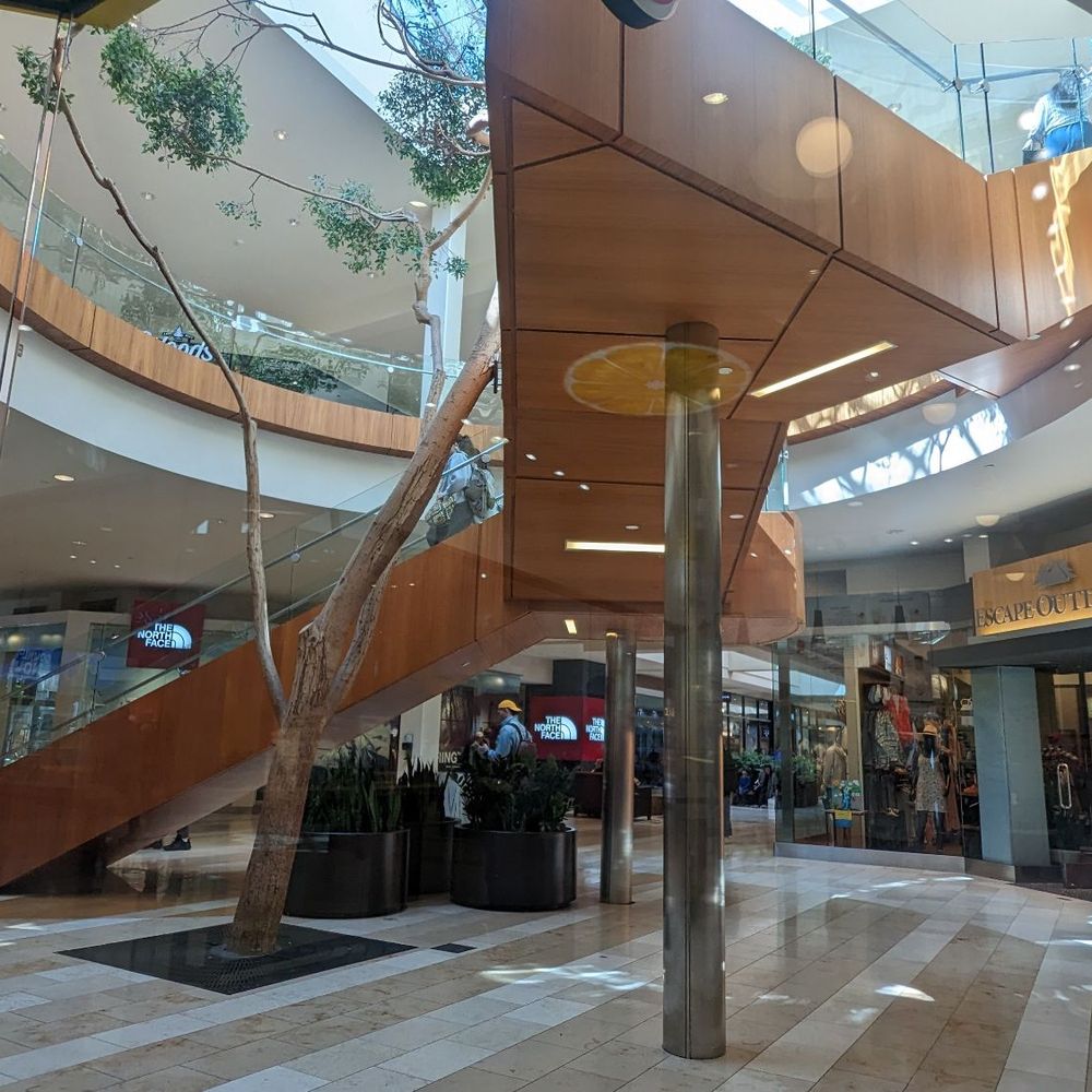 Bellevue Square - Shopping Centers Near Me - Bellevue, Washington Bellevue Square - Shopping Centers Near Me - Bellevue, Washington