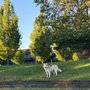 Photo of Sandy Bluff Park & Dog Park
