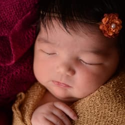 Amy Fansler Photography - Amy Fansler is a natural, and studio light photographer based out of Fuquay-Varina, N.C. serving the greater Raleigh area.