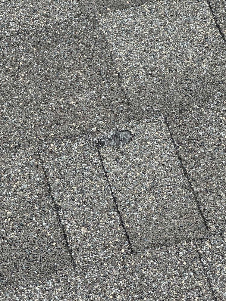 Slide of GreenLight Roofing