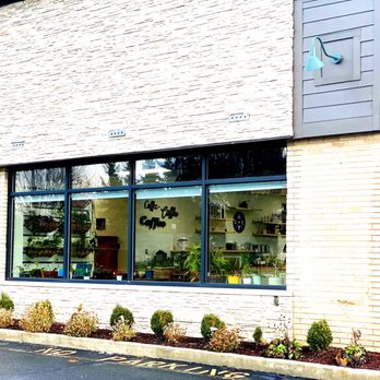 Coffee + Cream - Coffee & Tea Near Me - Livonia, Michigan